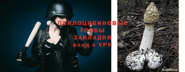прущие крисы Баксан