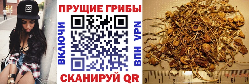 Галлюциногенные грибы прущие грибы  Отрадная 